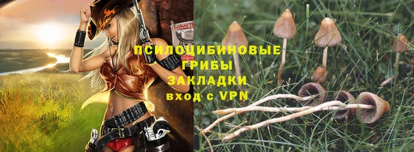 ALPHA PVP Алексин